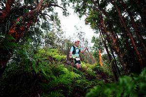 BIB: 
                            <button type="button" onclick="openModal(26204094)" class="btn btn-primary btn-sm float-right btn-popup" data-toggle="modal" data-target=".modal-high-quality">
                        <i class="fas fa-shopping-cart"></i> Add to Cart
                    </button>
                                            <button type="button" onclick="isThisMe(26204094, true)" class="btn btn-success btn-sm float-right btn-popup btn-isme hidden" data-toggle="tooltip" data-placement="bottom" title="นี่คือรูปของคุณใช่ไหม คลิกที่นี่เพื่อเอาเข้าอัลบั้ม">
                        <i class="fas fa-plus"></i> Add to album
                    </button>
                    <button type="button" onclick="isThisMe(26204094, false)" class="btn btn-warning btn-sm float-right btn-popup btn-isnotme hidden">
                        <i class="fas fa-ban"></i> Remove from album
                    </button>